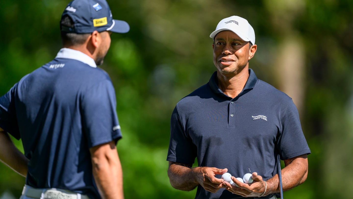 Masters24 Tiger