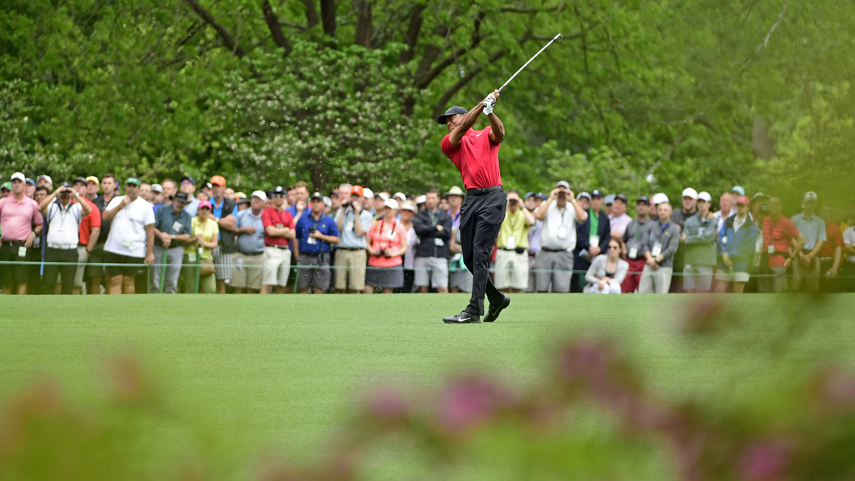 Masters champion Tiger Woods hits a stroke on hole No. 2 during the