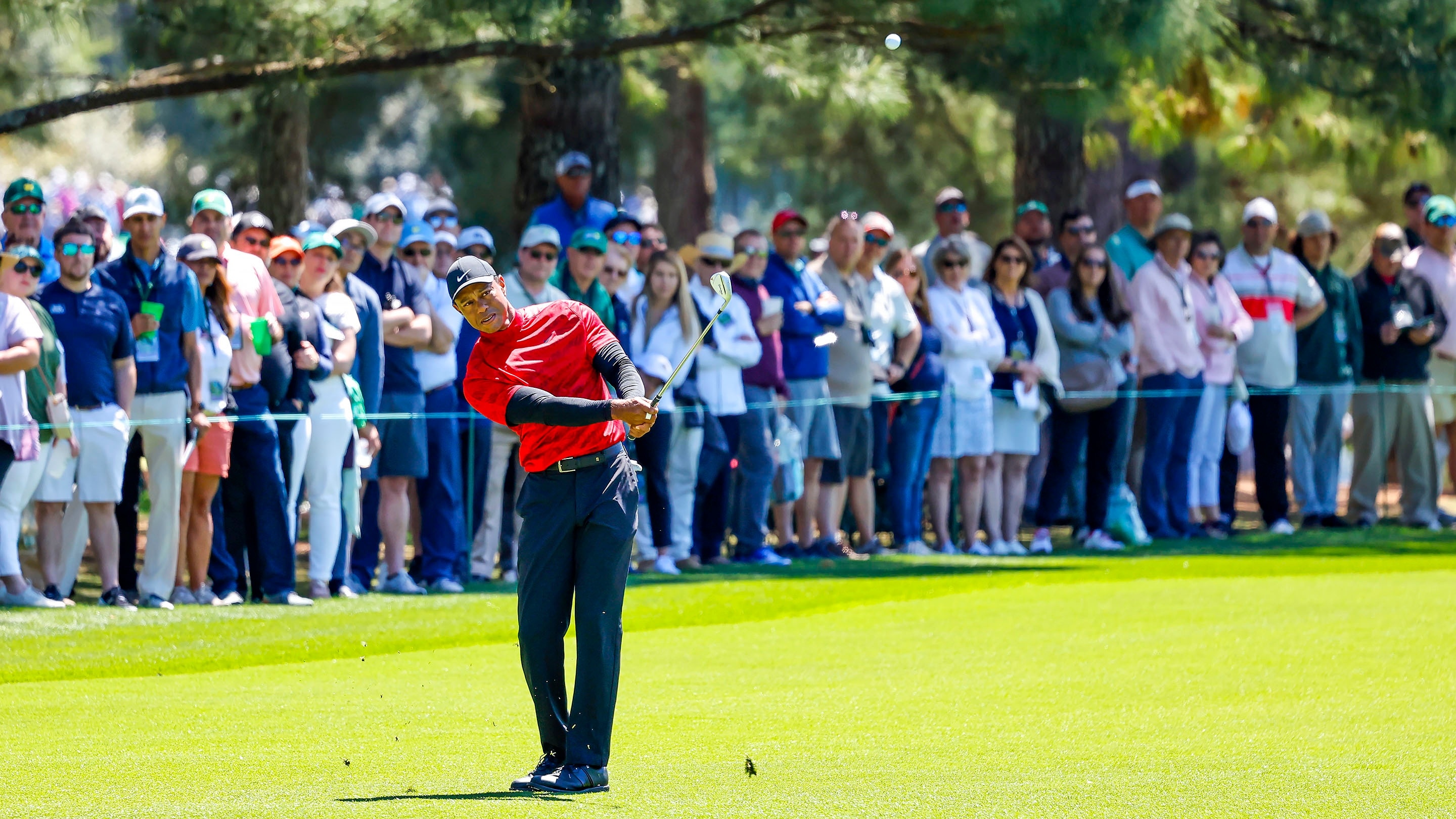 Masters champion Tiger Woods plays a stroke from the No. 8 fairway