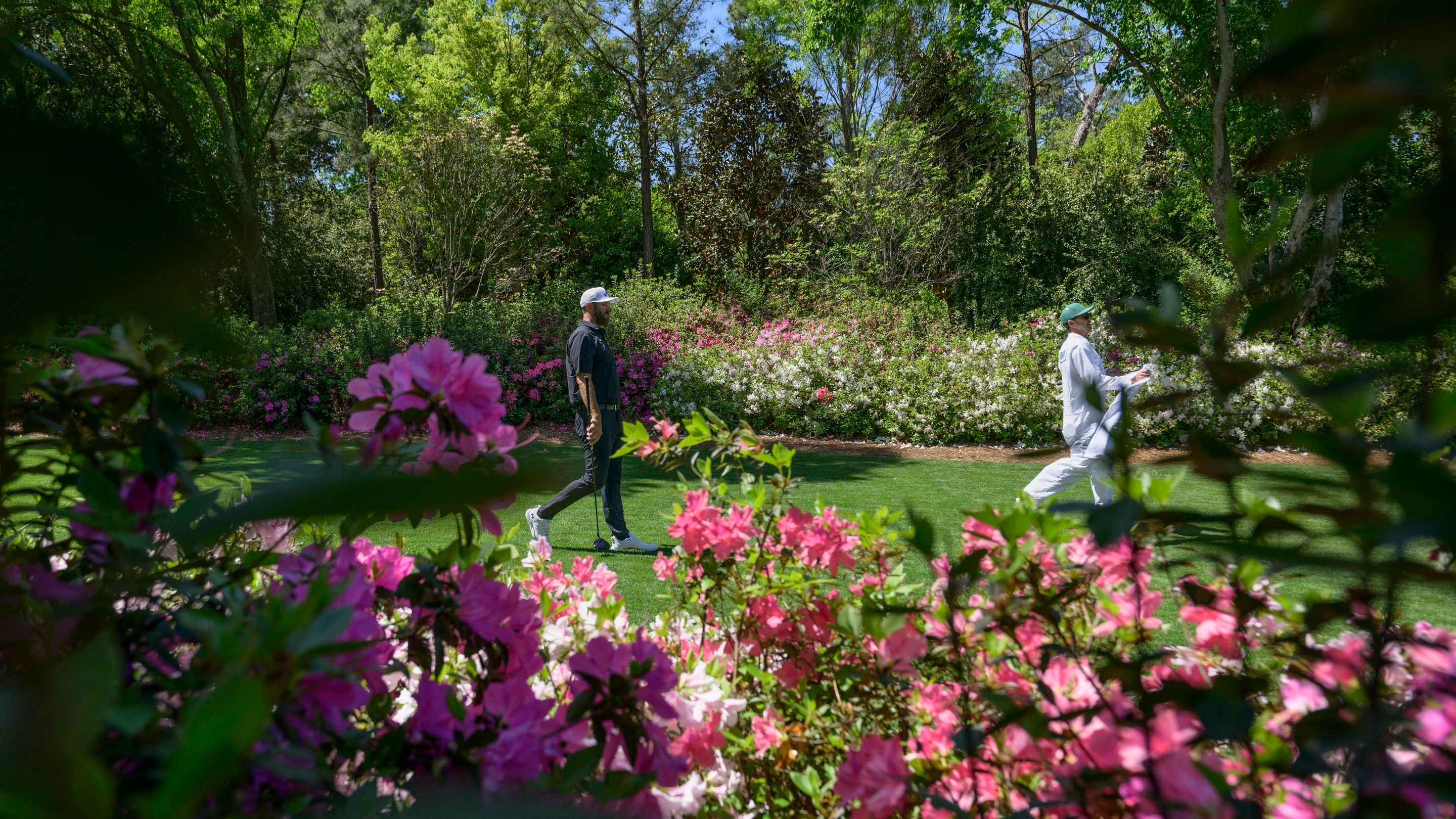 The Masters: Hole #13 Azalea